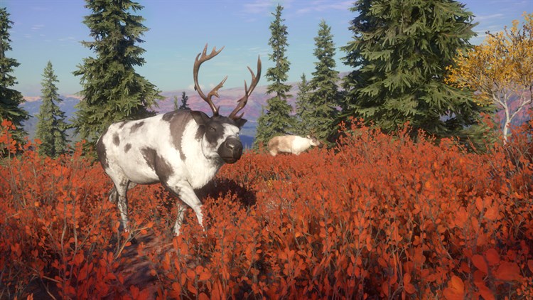 theHunter™: Call of the Wild - Yukon Valley - Xbox - (Xbox)