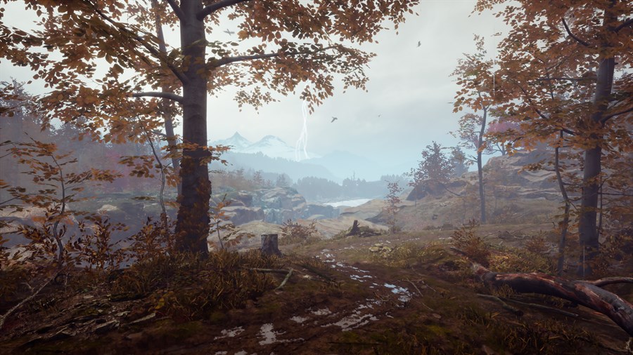 Full Size Image