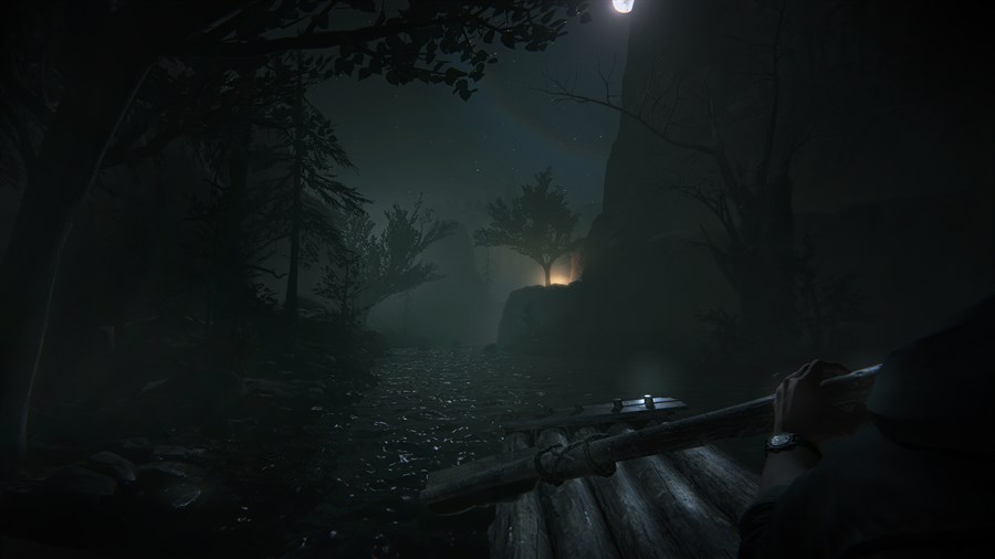 Full Size Image