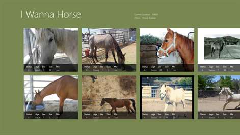 I Wanna Horse Screenshots 2