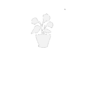 Flower Online