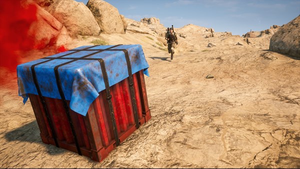 PUBG - 2026 Game Pass Exclusive Survivor Pack #3 — 10