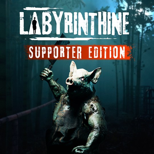 Labyrinthine - Supporter Edition cover art