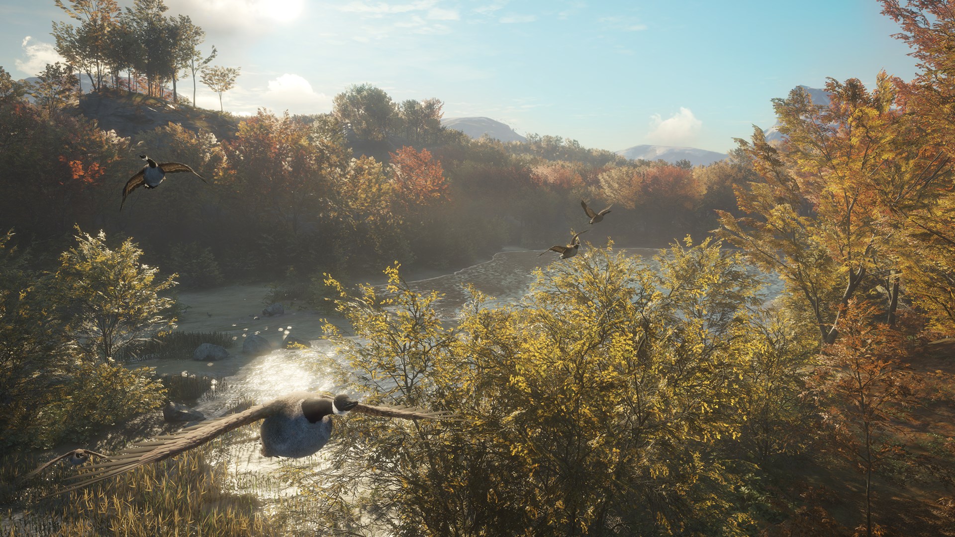 theHunter: Call of the Wild™ - Wild Goose Chase Gear - Windows 10 | Xbox | Chiave | Privato