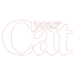 Your Cat