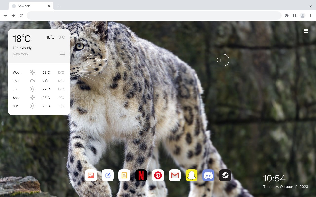 Snow Leopard Wallpaper HD HomePage
