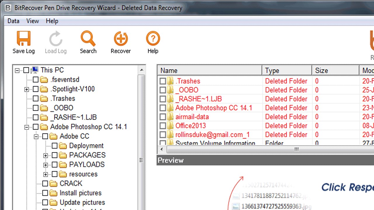 Snapshot 4 of BitRecover Pen Drive Recovery Software