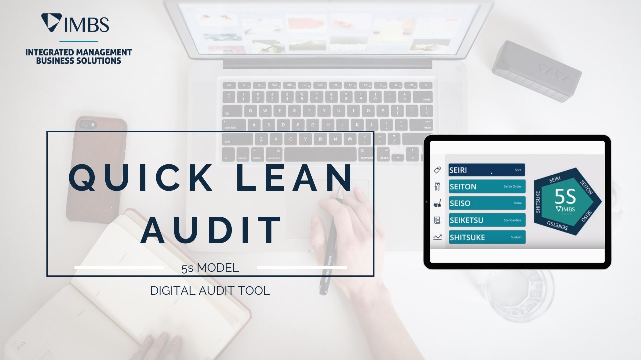 Snapshot 1 of Quick Lean Audit 5S