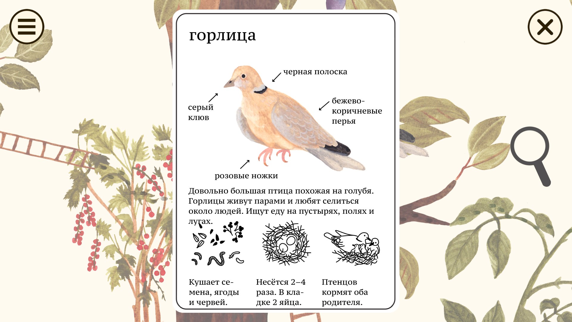 Little Mouse's Encyclopedia — скриншот 1
