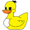 Duck Run