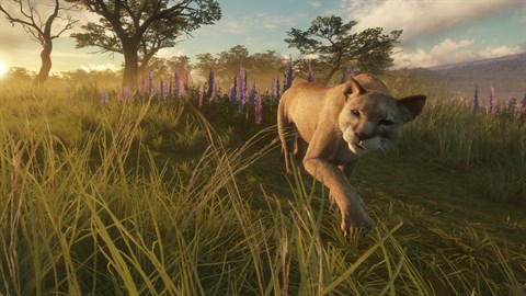 theHunter: Call of the Wild™ - Parque Fernando - Windows 10