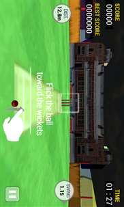 Cricket Run Out screenshot 3