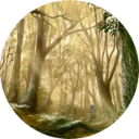 Mushishi Wallpapers New Tab icon