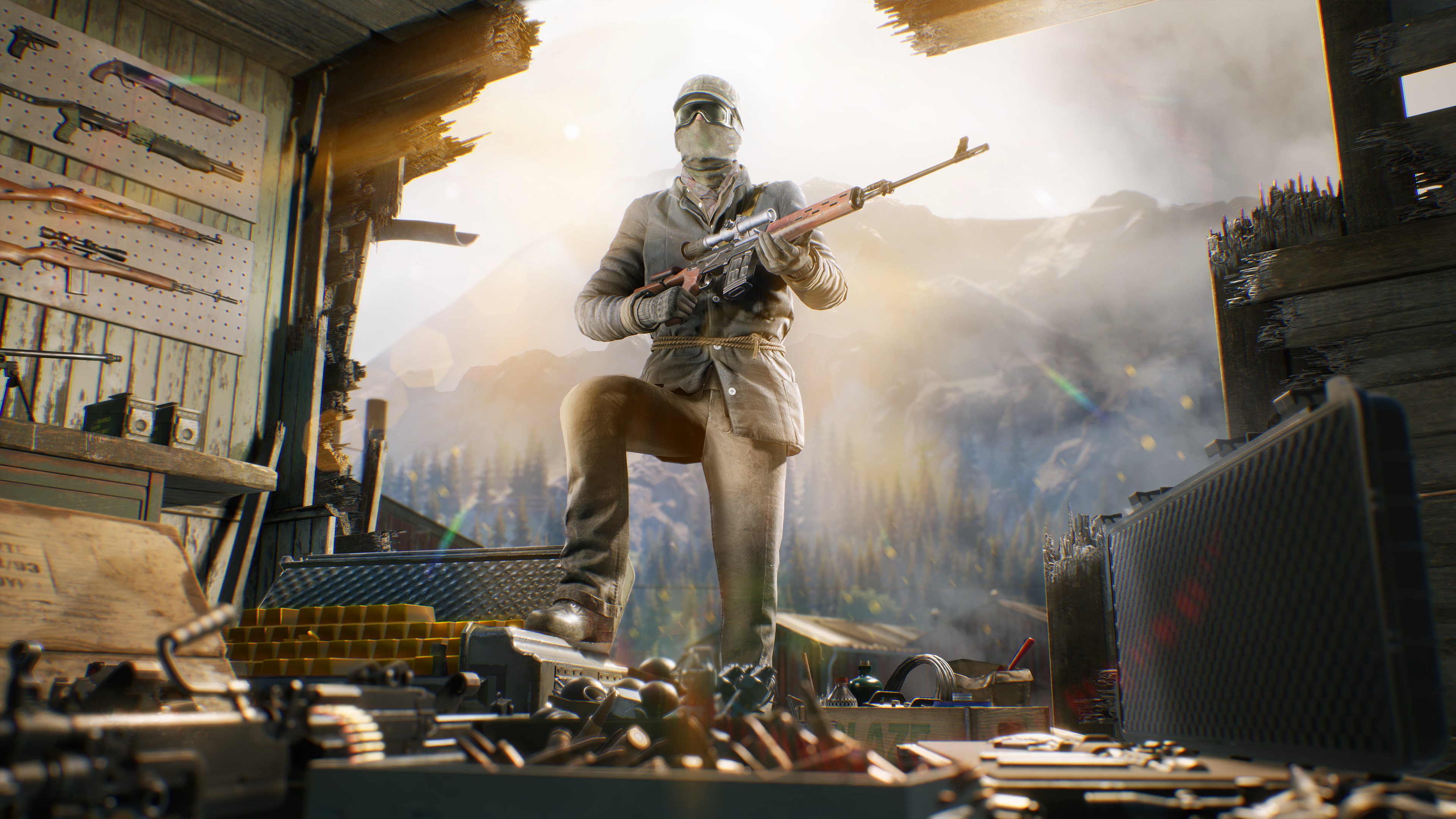 Vigor screenshot 2