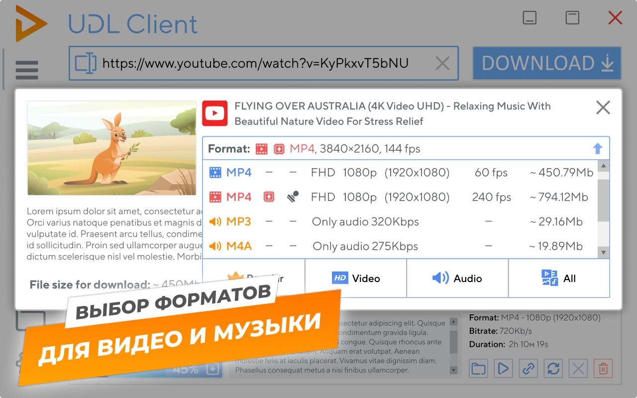 UDL Client — бесплатно скачайте и установите в Windows | Microsoft Store