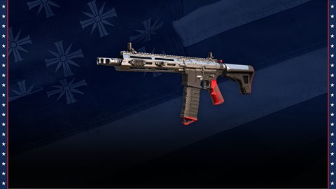 AR-C Assault Rifle with Unique Skin