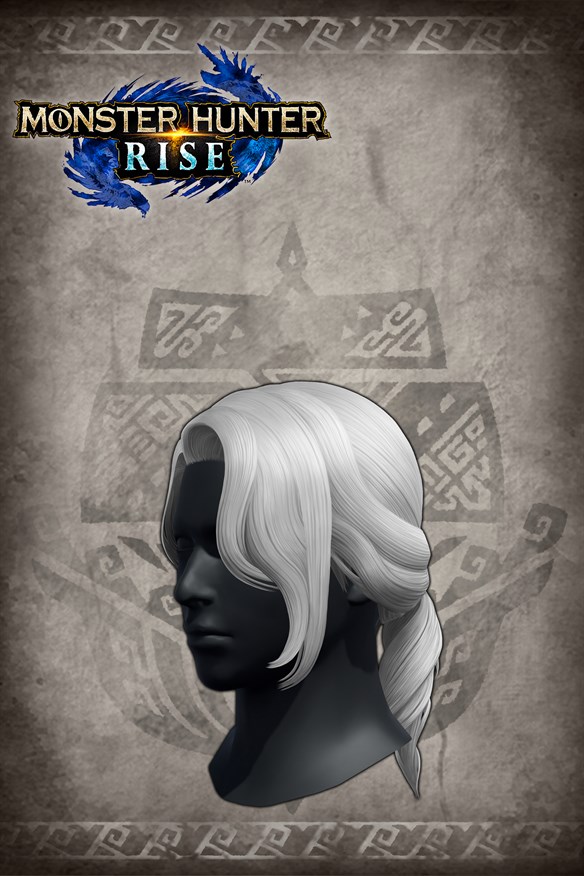 "Princely Tail" hairstyle