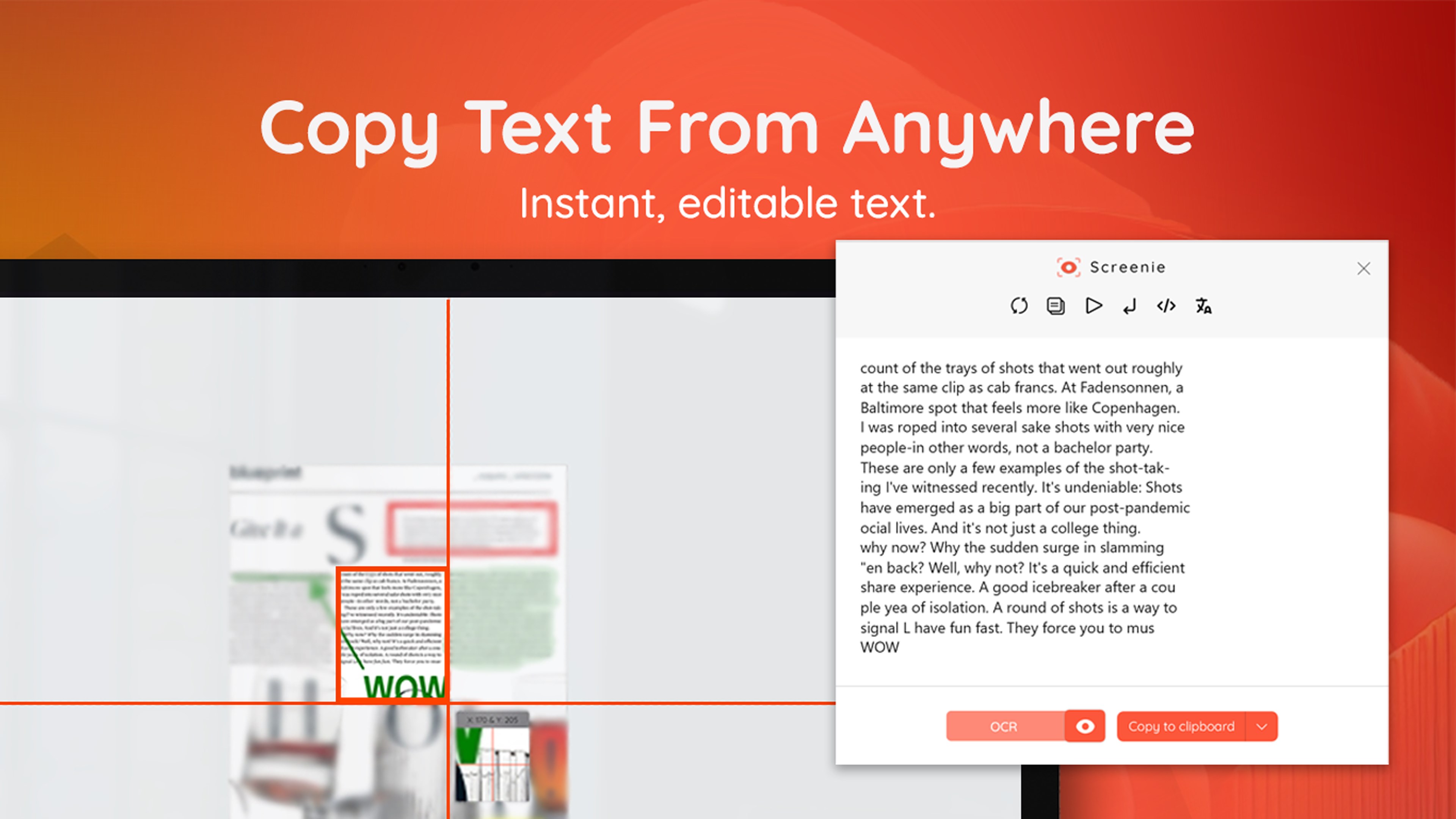 Screenie - Screen Text Extractor & OCR screenshot