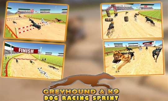 Greyhound K9 Dog Racing Sprint screenshot 5