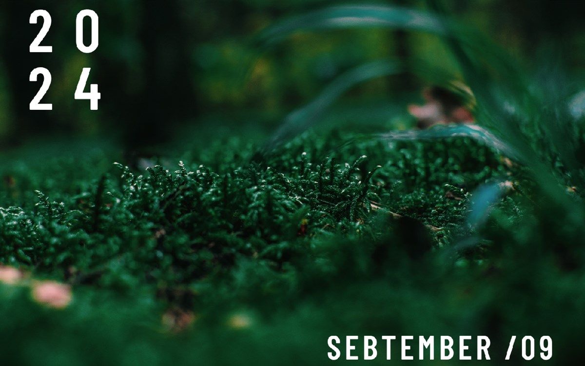 Sebtember Nature Wallpaper New Tab