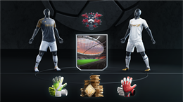 Aperçu UFL Club