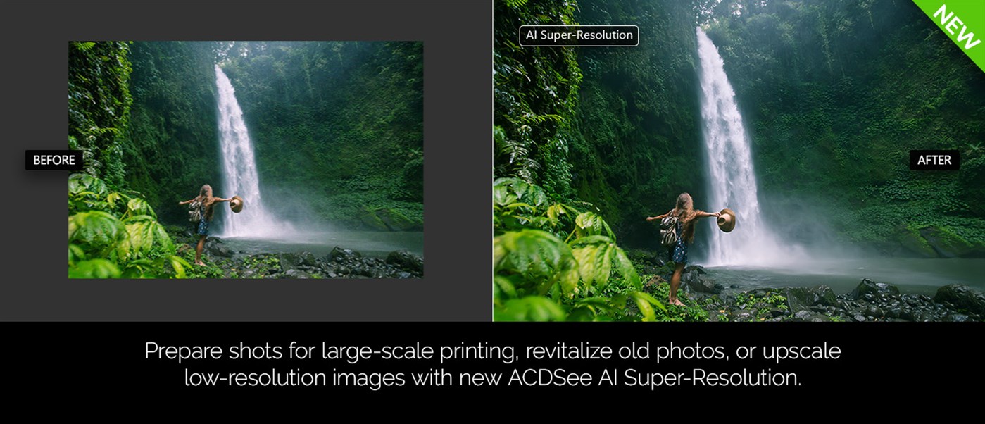 #1. ACDSee Photo Studio Home (Windows) Ved: ACD Systems International Inc.