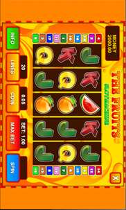 Casino Slot Fever screenshot 3
