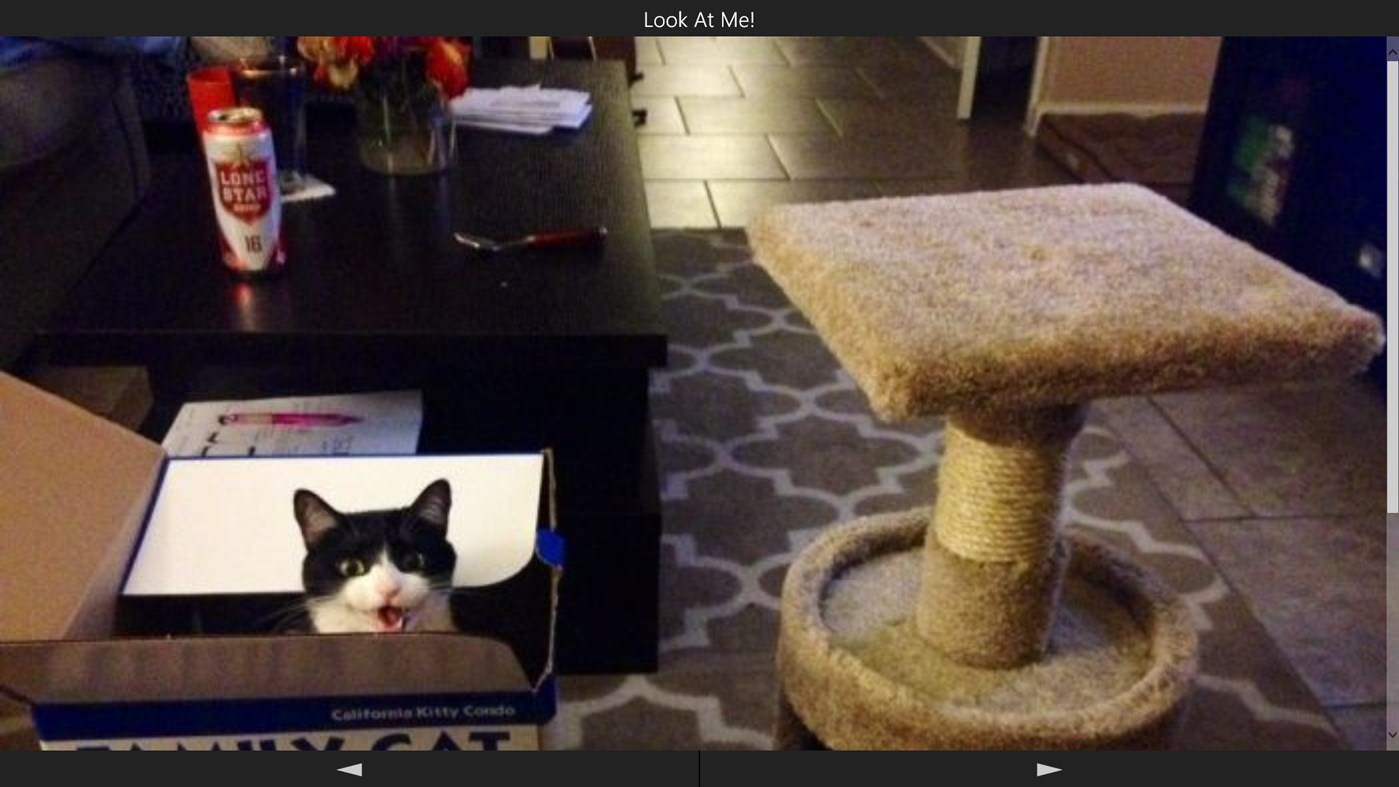 #2. LolKitten (Windows) 由: Bill Hill