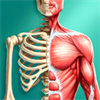 Discover Human Body - Anatomy and Physiology