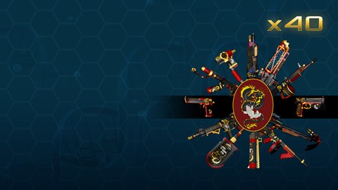 Dragon And Koi Complete Weapon Skin Set