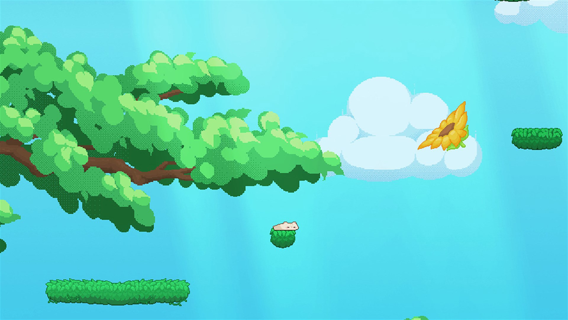 Screenshot 6 from Hamstory