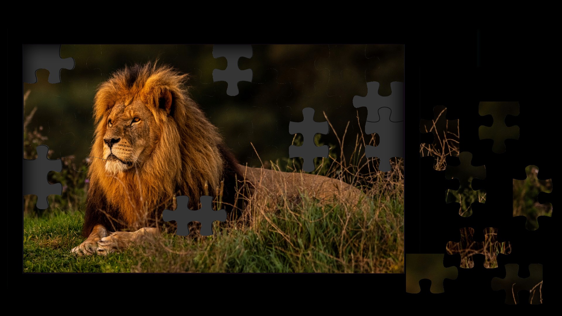 Buy Lion Jigsaw Puzzle - Microsoft Store