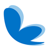 Morpho Gesture