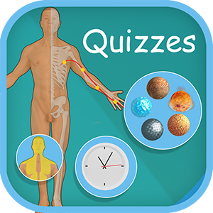 Acupuncture Quizzes