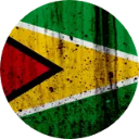 Guyana Flag Wallpaper New Tab icon