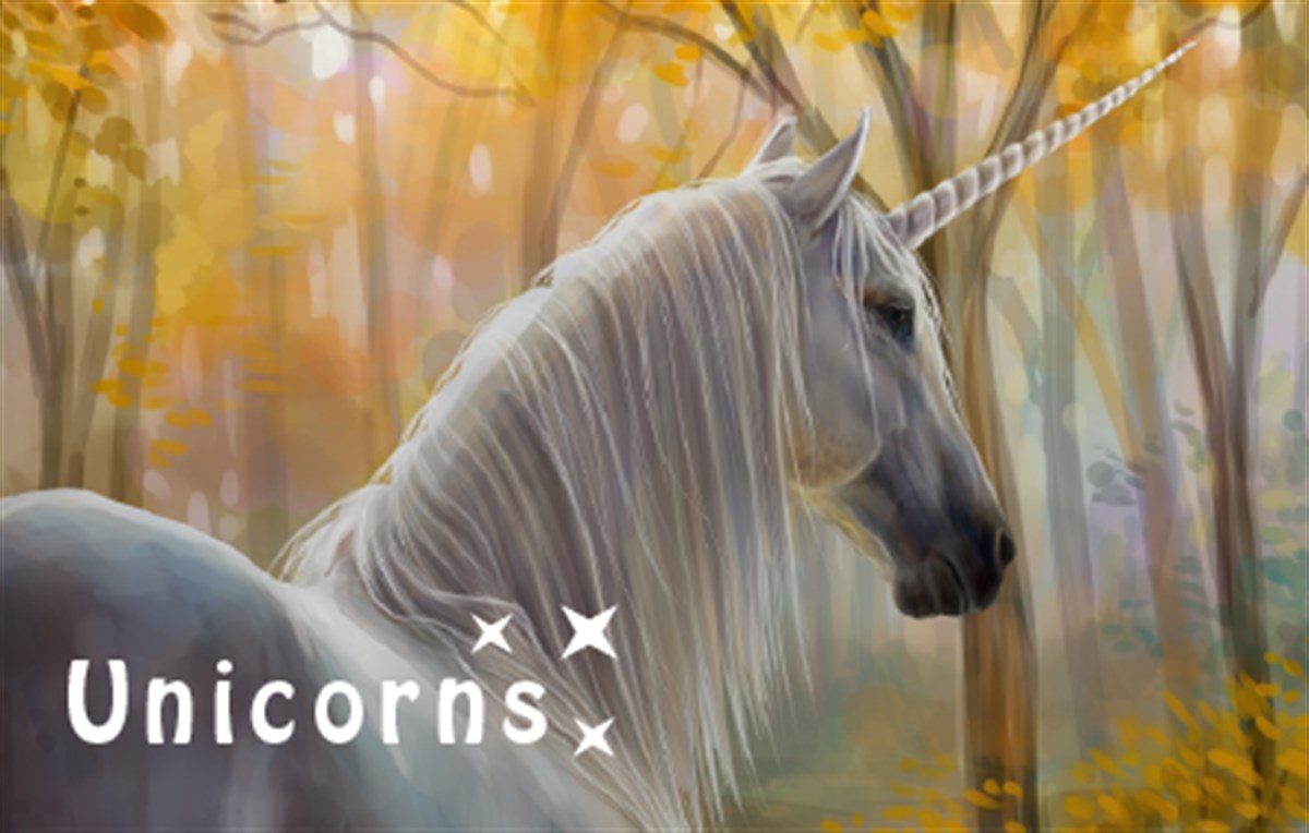 Unicorns - Magic Horse HD Wallpaper