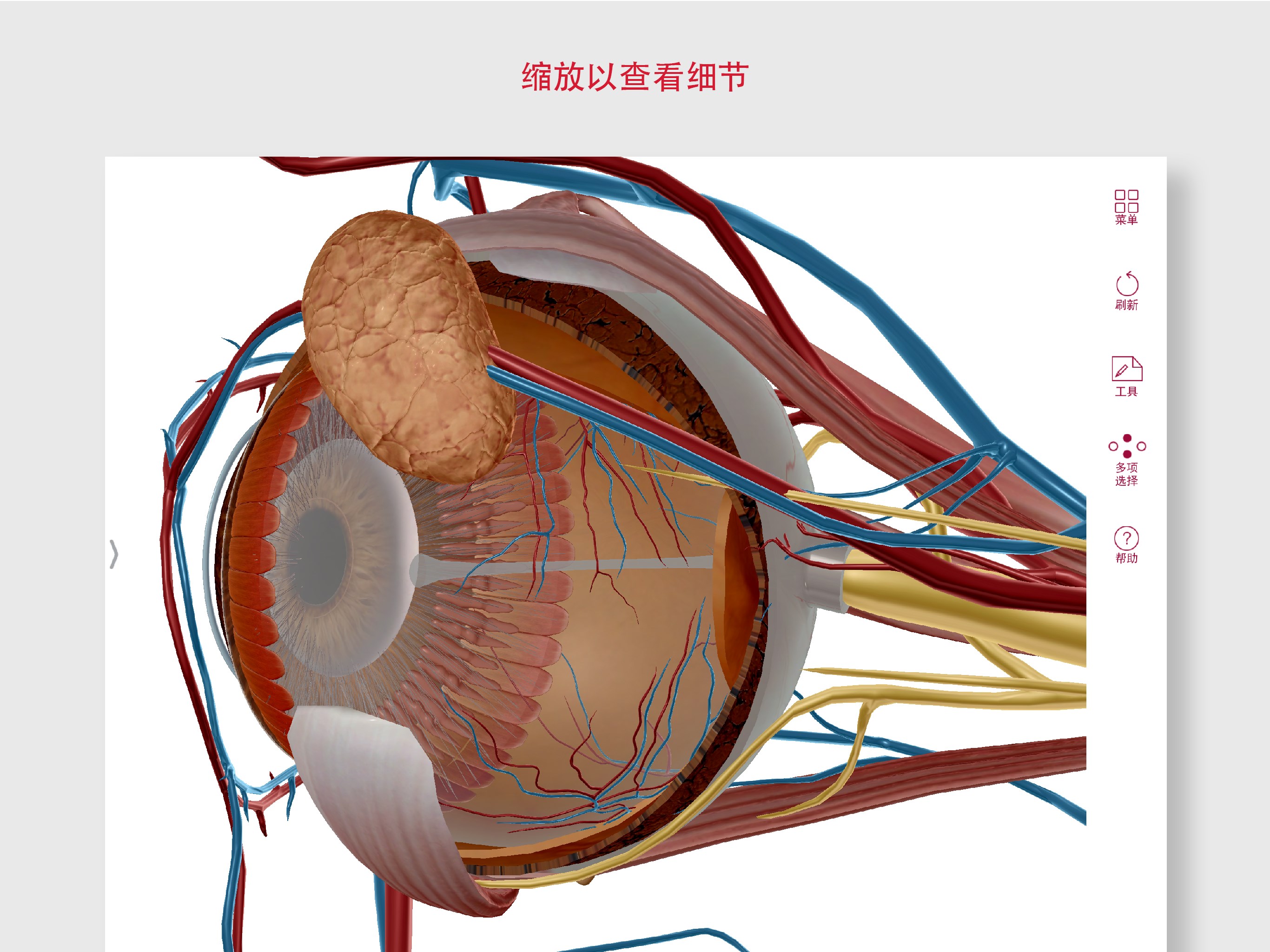 解剖和生理学: 人体系统的介绍 - Microsoft Store 中的官方应用