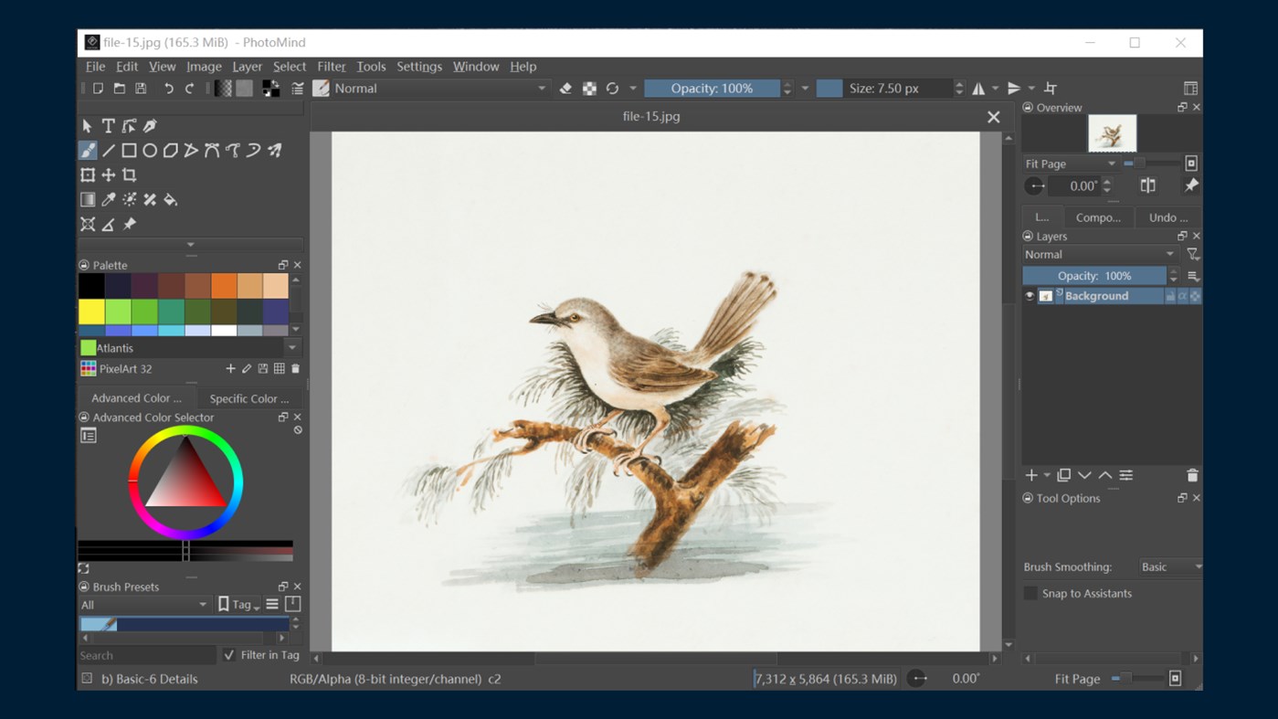 #2. PhotoMind - FREE Photo Editor & Photo Paint (Windows) Podle: Media Tools Studio