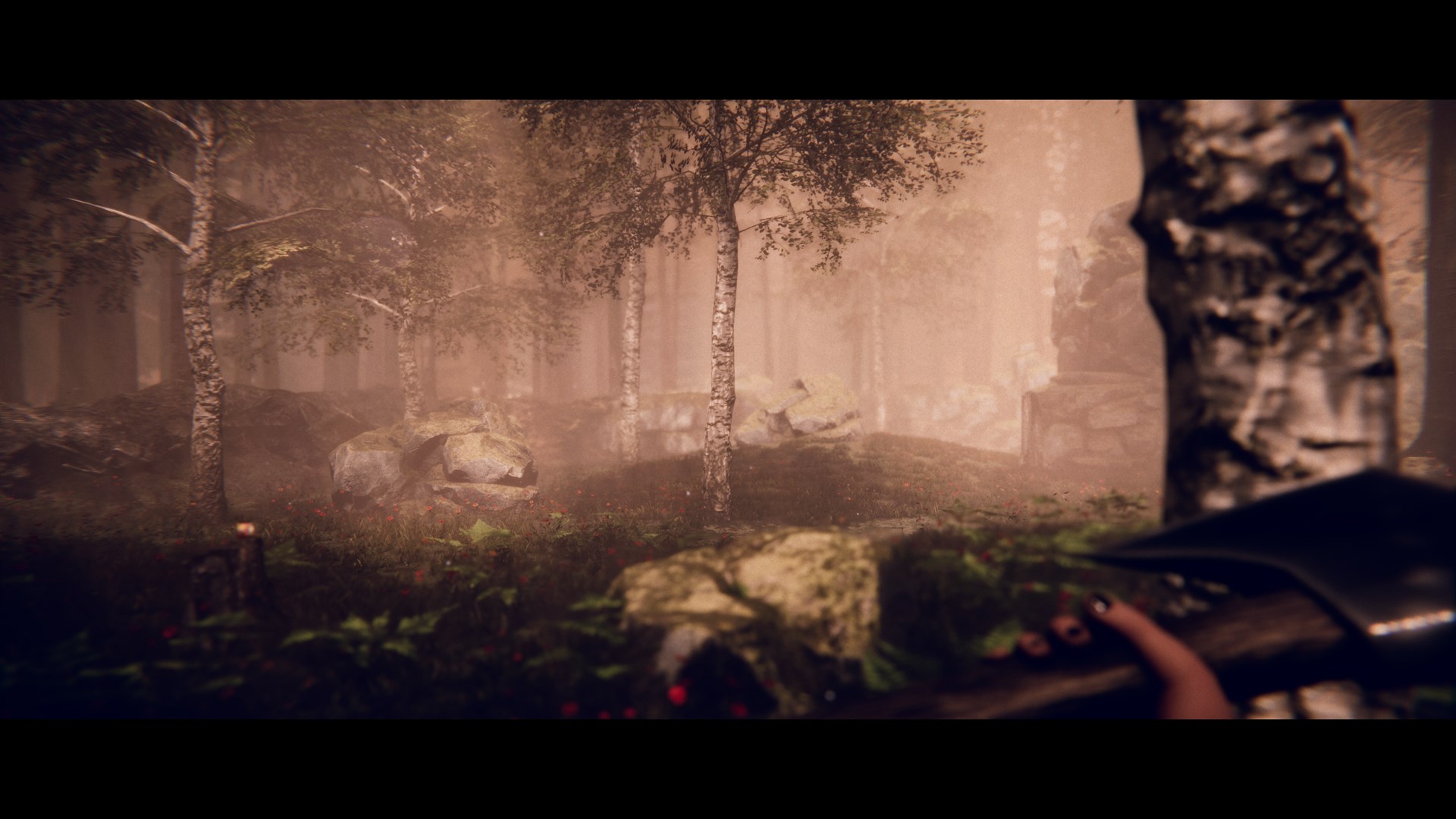 Screenshot 3 from Project Songbird
