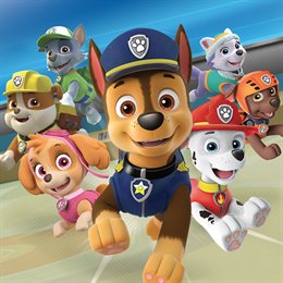 Aperçu Paw Patrol: On a Roll