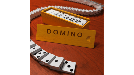 Domino Dominoes! screenshot 1
