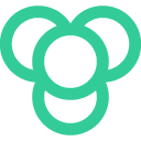 Devolutions Workspace icon