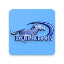 Equine Anatomy Learning Aid (EALA)