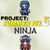 Ninja Project Summer Ice 5