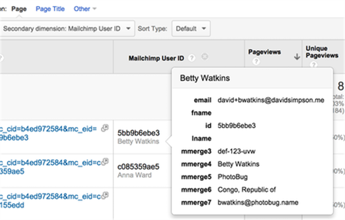 PII Viewer for Google Analytics