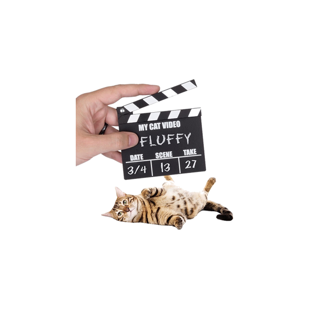 Master Final Cut Pro X