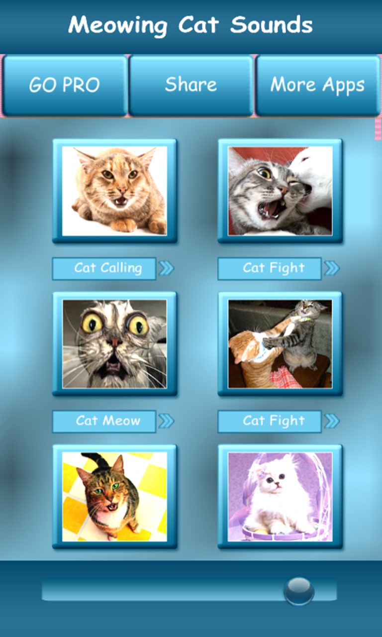 Recevoir Miaulement Sonneries De Chat Microsoft Store Fr Sn