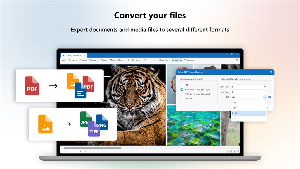 File Viewer Plus_5