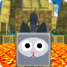 Cubic Temple Animal Run