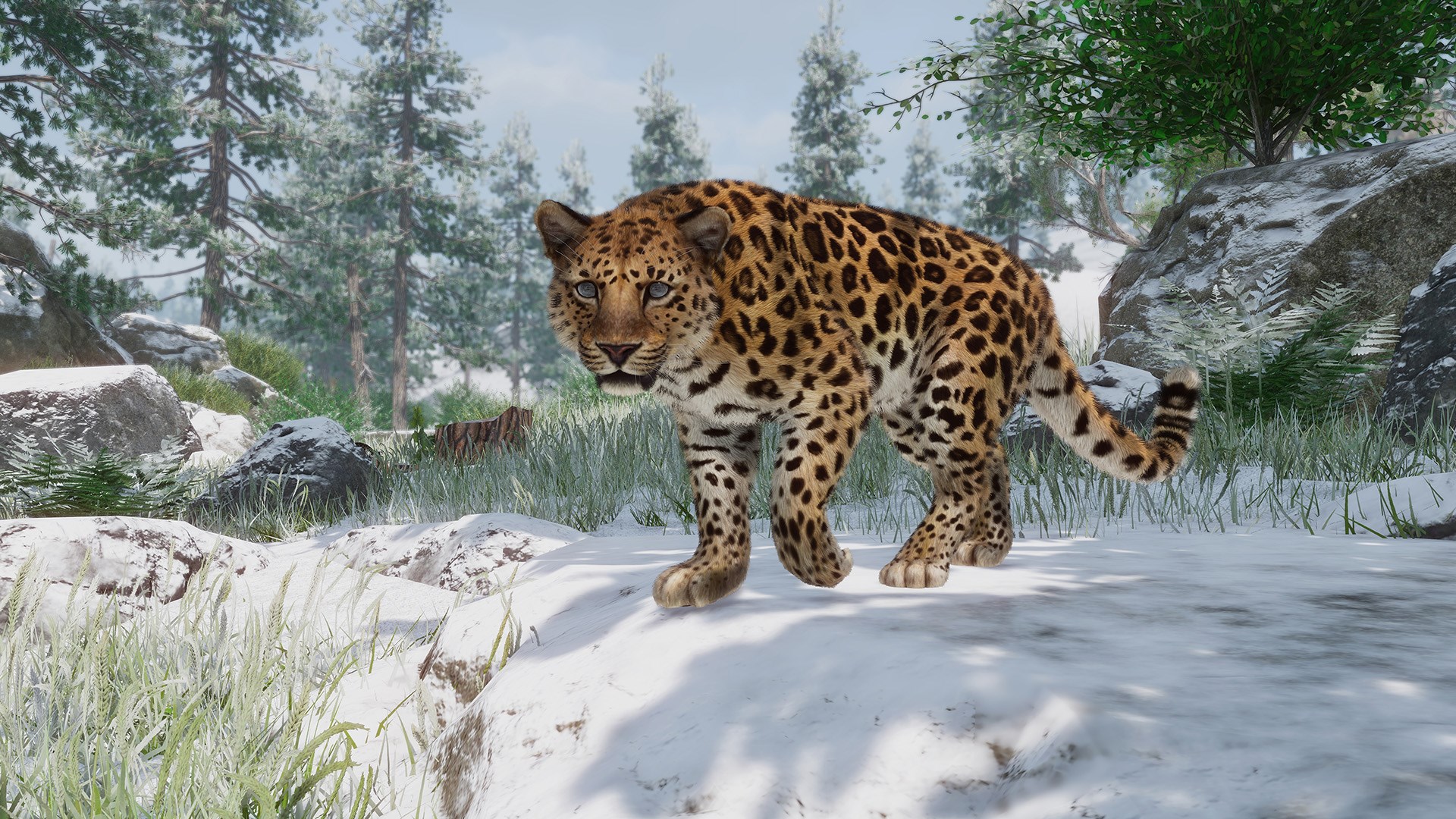 Planet Zoo: Arctic & Conservation Bundle